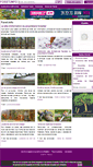 Mobile Screenshot of foret.info